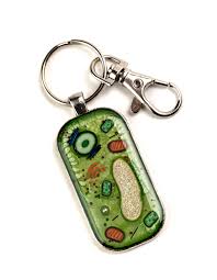 As cells are added to the tip by repeated cell divisions, a young root elongates and leaves behind cells that differentiate and become the primary roots of the plant. Plant Cell Key Chain Key Ring Cell Biology Biology Gift Etsy