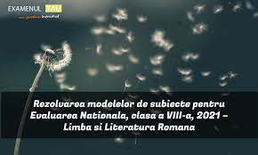 Calendarul este cuprins în ordinul. Rezolvare Modele Subiecte Evaluare Nationala Clasa 8 2021 Romana