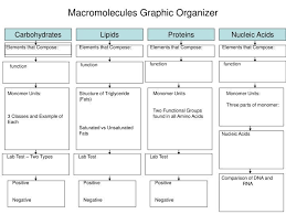 Biochemistry Basics Pogil Answer Key Pdf Macromolecules Graphic Organizer Macromolecules Biology Graphic Organizers Biology Classroom
