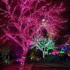 Phoenix Zoo Lights Is A Great Holiday Event That S Festive Colorful And Supports The Zoo Be Sure To Check O Zoo Lights Holidays And Events Travel Instagram