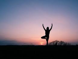 We did not find results for: 7 Best Yoga Retreats In Canada Taylor S Tracks