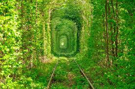 Resultado de imagen de NATURALEZA HERMOSA