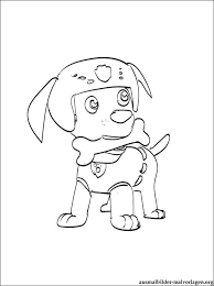 Zuma Paw Patrol Ausmalbilder Kostenlos Und Gratis Malvorlagen