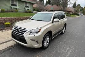 Image result for Satin Cashmere 2011 GX