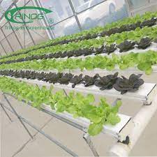 China Pvc Nft Tube Hydroponics System For Vertical Farm China Nft Hydroponics