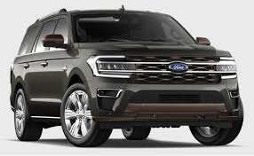 Image result for Dark Yellow Green 2024 Fleet