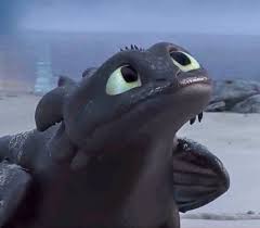 Image result for Dragon SY-252