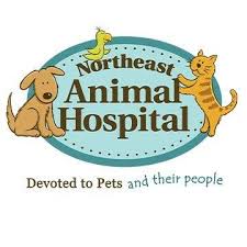 Veterinary medical center of st. Northeast Animal Hospital Saint Petersburg Fl Home Facebook