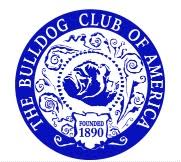 Black in small amounts, such as in a pied pattern is acceptable but considered undesirable. Bulldog Club Of Utah