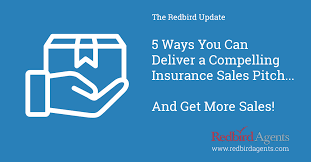 Dummies has always stood for taking on complex concepts and making them easy to understand. 5 Ways Insurance Agents Can Deliver A Compelling Sales Pitch Redbird Agents