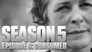 THE WALKING DEAD Season 5 Ep 6 Consumed Recap: Carol & Darryl Go Deep
