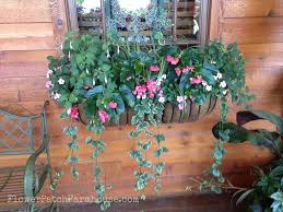 There is a difference between partial shade and no sun at all. Shade Loving Plants In Containers Flower Patch Farmhouse