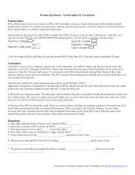 Poopi to dna coloring transcription translation. Dna Coloring Transc And Transl