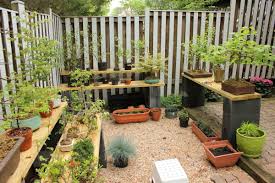 Do bonsai trees need special pots? How To Repot A Bonsai Tree And The Reasons For Doing So Dengarden