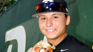 A look at the Volusia and Flagler area's baseball teams