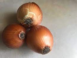 We did not find results for: Can I Plant Onions In Fall Winter In Northern California