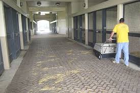 34 Walk Behind Floor Sweeper Cleaning Indoor Commercial Horse Stables Floor Sweepers Dream Stables Horse Barns