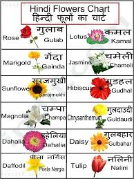 uses of marigold flower in hindi villastowingservice com