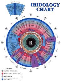 Iridology Chart Right Eye Illia Heart
