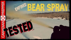 Rather than repel, the strong smell actually can attract a curious bear for up to 24 hours. Expired Bear Spray Pepper Spray Tested Canadian Prepper Youtube