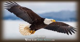 How much does it cost to pick up at giant eagle? Eagle Symbolism Meaning Spirit Totem Power Animal