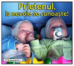 Un caine din japonia ramane alaturi de prietenul sau aflat printre ruine. Prietenul La Nevoie Se Cunoaste Viral Pe Internet