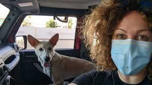 The animals that saved quarantine: 5 new pet owners explain how fostering  and adopting has helped them