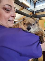 Jeep Super Bowl commercial: Meet Bill Murray's co-star groundhog