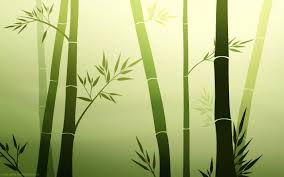 Bamboo Graphic Bamboo Wallpaper Simplistic Wallpaper Bamboo Background
