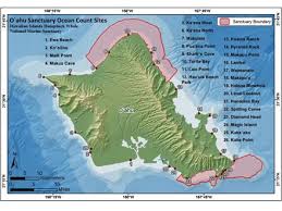 Hawaiian Islands Humpback Whale Get Involved Sanctuary