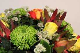 8a, erdgeschoss, 68519, viernheim deutschland oranje blumen öffnungszeiten. Oranje Blumen Webshop Fur Frische Blumen