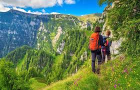 Maybe you would like to learn more about one of these? Valley Of Flowers Trek Best Time For Valley Of Flowers Trek Trvme