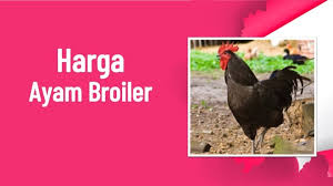 Scopri ricette, idee per la casa, consigli di stile e altre idee da provare. Harga Ayam Broiler Di Indonesia Tahun 2021 Jenis Ternak Pakan Fcr