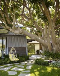 No one wants that in their yard. Front Yard Trees Houzz