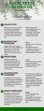 It is mostly used in diffusers to promote a feeling of relaxation. Learn About 5 Practical Uses For Ameo Eucalyptus Globulus Www Blessedradiance Co Young Essential Oils Eucalyptus Globulus Essential Oil Essential Oils For Kids