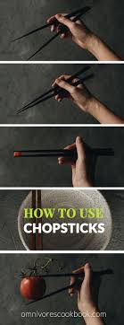 These chopsticks are fun, simple and easy to use. How To Use Chopsticks Omnivore S Cookbook