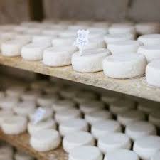 Technique De Fabrication Du Fromage De Chevre En 5 Etapes Fromage De Chevre Fabrication Fromage Fromage