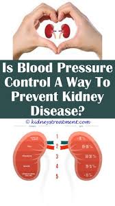 Kidney Disease Nursing Kidney Disease Kidney Disease Symptoms Chronic Kidney Disease