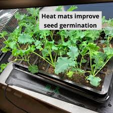 This could be a natural or artificial light source. Gardening At Usask Using Heat To Improve Seed Germination Many Of Us Will Be Starting Tomato And Other Seedlings Soon Grow Lights Are A Big Asset But Keeping The Soil Temperature