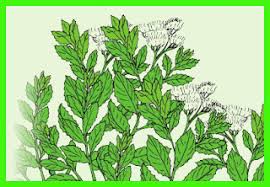 Maybe you would like to learn more about one of these? Kunci Jawaban Tema 6 Kelas 6 Halaman 106 107 Masnurul