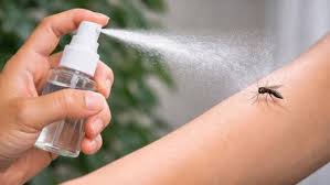 Adiós a los mosquitos: cómo hacer un repelente con dos ingredientes | Red  Uno de Bolivia