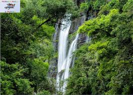 Maybe you would like to learn more about one of these? Los Chorros Del Varal En Los Reyes Michoacan The Good Place Travel Agency Places Around The World