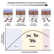 Monash econometrics and business statistics working papers the distribution of exchange rate returns and the pricing of currency options. Modulating Local Co2 Concentration As A General Strategy For Enhancing C C Coupling In Co2 Electroreduction Sciencedirect