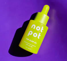 Begins to develop within two to three days then builds gradually. Anxiety Be Gone A Review Of Not Pot Cbd Glow Oil An Introvert Talks