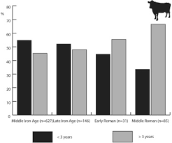 See more ideas about show cattle, cattle, showing livestock. Mobility Of Cattle In The Iron Age And Roman Netherlands Sciencedirect