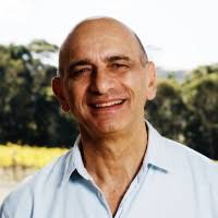 20+ perfiles de «Fischl»