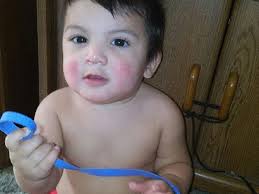 Fundraiser by Wanda Malik : Robert Jr. Memorial Fund