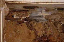 However, most policies do not cover the cost of the repairs due to dry rot. Dry Rot Repair Russ Johnson Construction Inc
