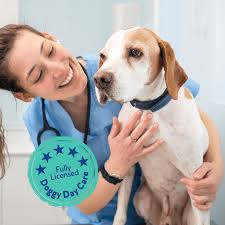 Bruce's Blue Light Discount