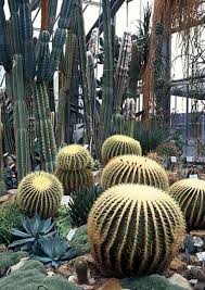Die einrichtung wird hier beschrieben und aktuelle informationen sind willkommen im botanischen garten der universität ulm. Botanischer Garten Der Christian Albrechts Universitat Zu Kiel Museen Schleswig Holstein Hamburg